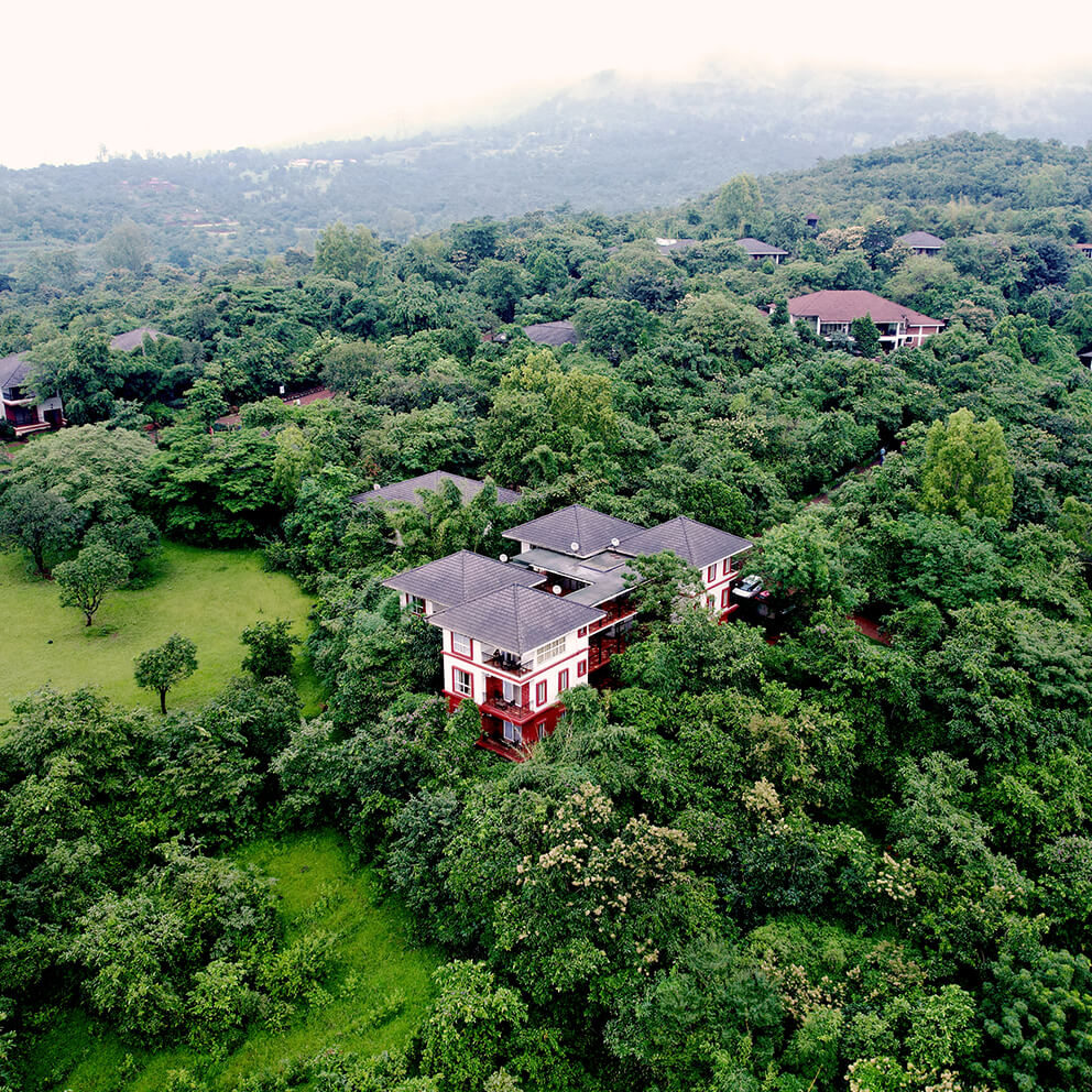 Resort surrounded by green trees