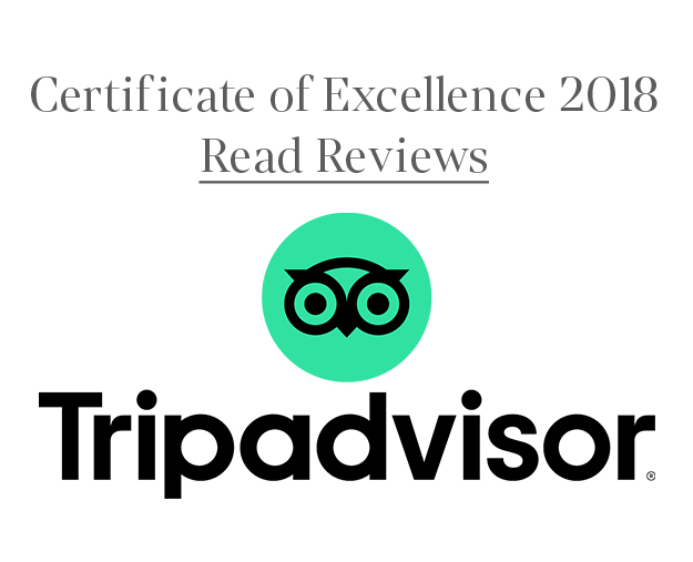 Trip Advisor